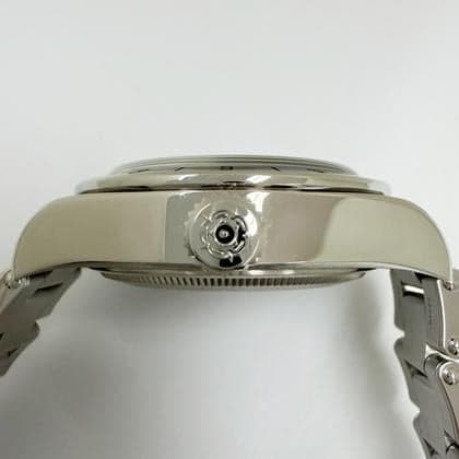 Tudor Black Bay Pro Side View